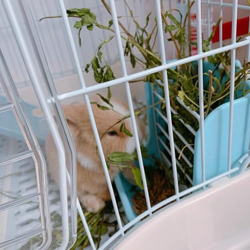 Hamiledyi 2PCS Rabbit Hay Feeders Rack 2 in 1 Feeder Bowls Double Bunny Feed Holder Grass Food Supplies for Chinchillas Guinea Pig Hamsters (Pink+Blue) - color: Blue&Pink