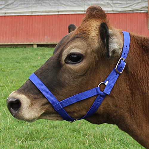 Derby Originals Adjustable Nylon Livestock Cattle Halters - color: Black, size: Large (800-1400lbs)