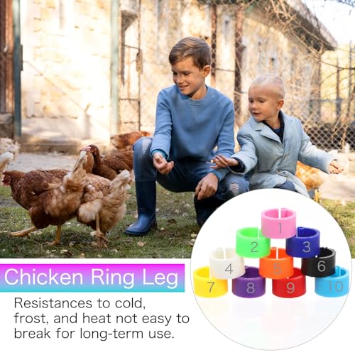 ElevateTech 300PCS 8mm Coturnix Quail Leg Bands Chicken Identification Band Bands Chicken Leg Band Rings Clip-On Round Tags Poultry IdentificationBand