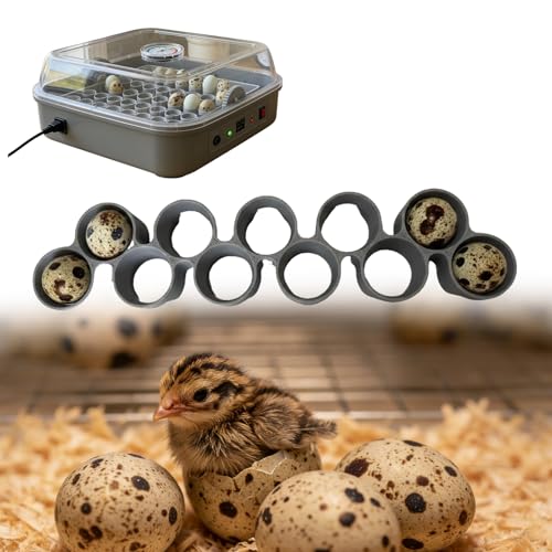 Custom Quail Egg Turner Tray Compatible with Maticoopx 20 Egg Incubator | Precision Fit Hatching Accessory for Small Eggs, 11 Slot Small Egg Tray Accessory - Durable Grey (M20) (Tray Only） - color: M20