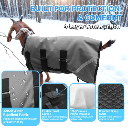 Goat Coat, Winter Livestock Blanket for Goats, Sheep, Calves, Dogs, Mini Pigs & Donkeys with Reflective Strip, Adjustable Farm Animal Coat, 1200D Waterproof 150g 28.68" Back (Gray, Medium) - color: Gray, size: Medium