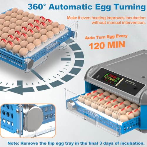 Egg Incubator for Hatching Eggs - Chicken Egg Incubator with Automatic Egg Turning, Humidity Control, Water Adding System, Egg Candler, Ideal for Chicken, Duck, Quail Eggs (24 Eggs) - size: 22 Eggs