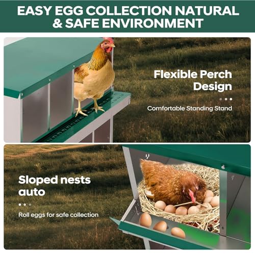Chicken Nesting Boxes, 8 Compartment Metal Stainless Steel Chicken Laying Boxes with Legs, Removable Roll-Away Trays & 2-in-1 Perch, Easy to Clean and Install, for Outdoor Chicken Coop, Green - color: Dark green, size: 8 Room&Mat eggs