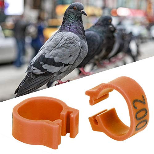 8mm Pigeon Leg Bands 0-100 Numbers Chicken Identification Leg Bands for Bantam Finch Dove Lovebird Coturnix Quail (Brown) - color: Brown