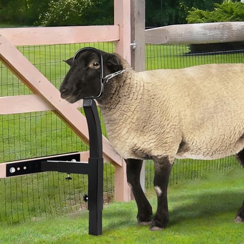 Livestock Stand 9.8 inch Height Adjustable, Goat Stand 5.9 inch Length Adjustable，Metal Livestock Stand Attachment Nose Loop Headpiece, Trimming Stand for Goat & Sheep. | Nose Loop Headpiece for Goat & Sheep, Powder-Coated Steel Trimming Stand for Farm Gr