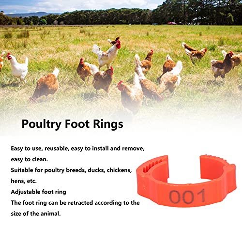 Poultry Leg Bands Clip On Numbers Foot Rings 100 PCS Bag Chicken Supplies