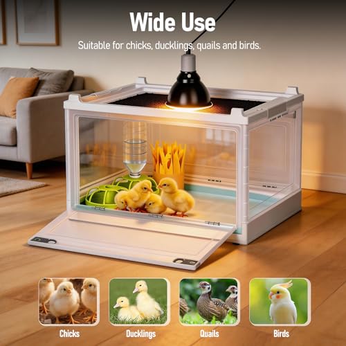 Chick Brooder Box with Adjustable Heat Lamp, Waterer & Feeder | Foldable Plastic Brooder Box for Chicken Chicks Ducks Quail Baby Birds, Transparent Visible, Easy to Clean, Waterproof