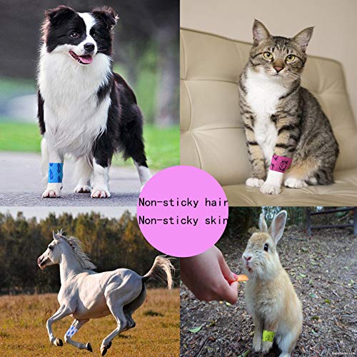 Stmandy Vet Tape wrap, wrap Bandage 2 inch 6 Rolls,Adhesive wrap Bandage for The Person or The Pets (cat,Dogs,Horse and Other Animal) who was injure or Have Wounds (Cartoon 6pcs) - size: 2 Inch (Pack of 6)