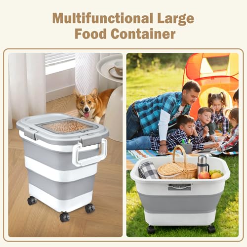 Rice Storage Container, Collapsible Airtight Food Storage Containers 20-30 Lbs, Rice Dispenser Bin with Cup and Scoop for Flour Cereal Pasta Grain, Cat Bird Pet Dog Food Storage Container - size: 20-30 Lbs