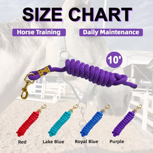 5/8" x 8' Nylon Horse Lead Rope with Cast Iron Hardware(Purple) | Durable nylon material, cast iron hardware, ideal for daily use, training and showing. - color: Purple