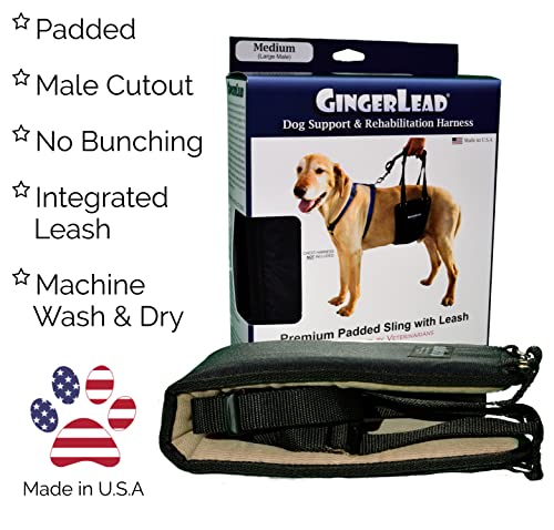 GINGERLEAD Dog Sling Hind Leg Support, M/LG Unisex with Cutout, Made in USA | Help Pets Walk, K9s Recover from Surgery, Fits Male & Female, Integrated Leash, Machine Wash/Dry, Chest Harness NOT Included - size: Medium-Large - Unisex