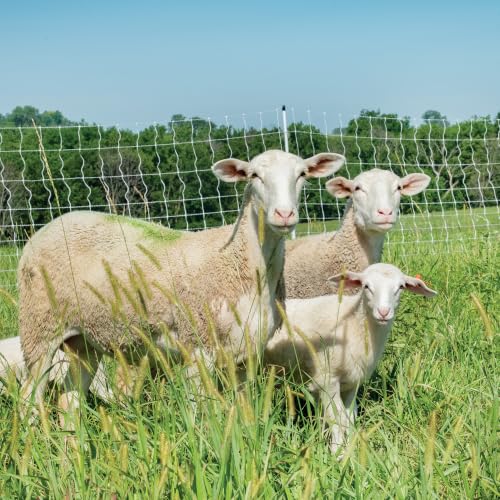Premier 1 PermaNet® PrimaLite™ Fence – Sheep & Goats – 48"H x 25'L | White/black. Step-in wedge posts for extra stability. For sheep & goats. Keeps out coyotes & dogs. Energizer sold separately. - size: 25 ft