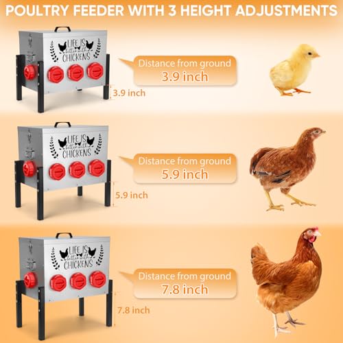 ‎Tgeyd 50LB Large Automatic Chicken Feeder – 8 Feeding Ports, No-Waste Poultry Feeder, with Adjustable Legs & Locking Lid - color: Cockscomb Red