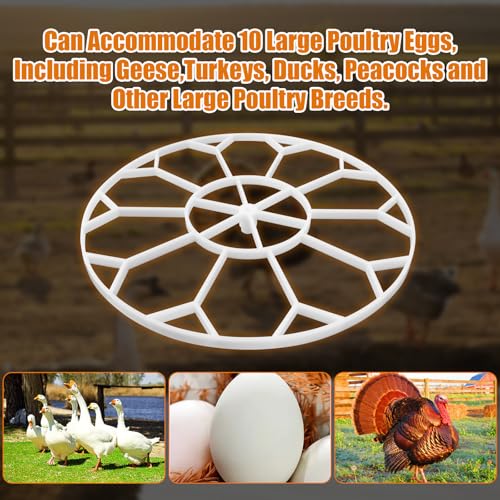 JGT360 Jumbo Goose Egg Incubator Tray for Nurture Right 360 Incubator | 10 Egg Capacity, Compatible with Large & Heavy Breed Eggs, including geese, turkeys, ducks, peacocks Wait