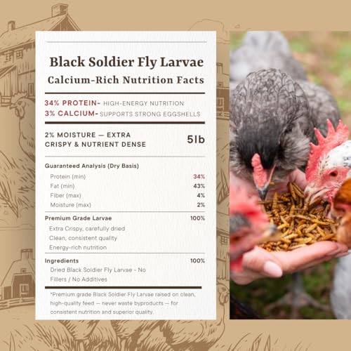 Black Soldier Fly Larvae for Birds, Non GMO & Organic, 5lb - size: 5lb, style: Soldier Fly Larvae