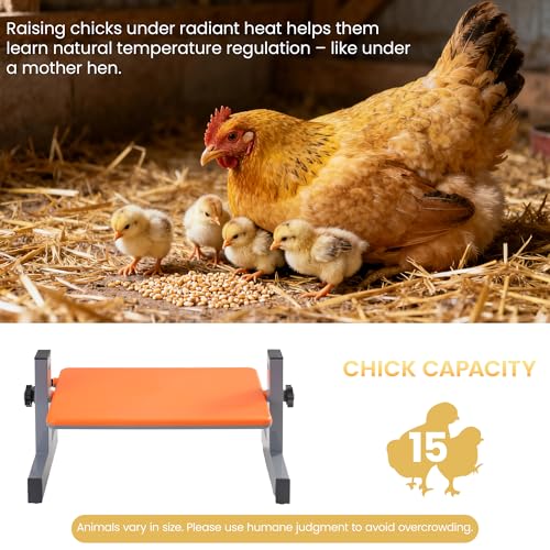 Smart Chick Brooder Heater with Digital Temp & Timer, Adjustable Height & Angle, Radiant Chicken Coop Heater for Winter, Rapid-Heating Plate for Ducklings, Quail, 35W, 13"x8" for 15 Chicks