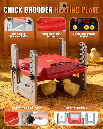 Chicken Brooder Plate, Smart Chick Heat Brooder Adjustable Temperature with LCD Display, 50W Chick Heater with 3-Sided Panels, 10"x10" Coop Accessory for Chicken Coop, Ducklings