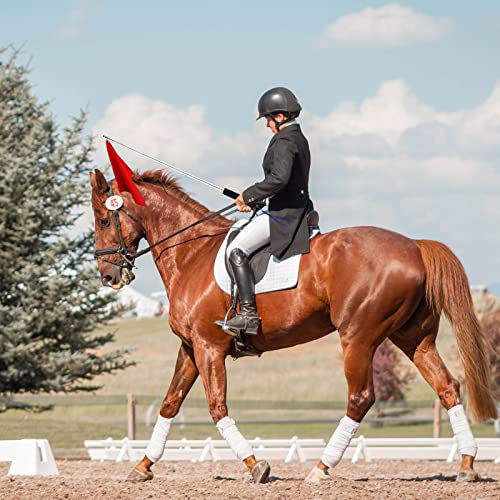 SAVITA 5PCS Horse Training Flags with 63in/1.6m Telescopic Poles (Five Colors)