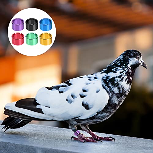 YARNOW 18Pcs Aluminum Pigeon Rings - Colorful Bird Identification Bands for Pigeon Foot Tagging and Leg Marking Reusable Lightweight Bird Bands for Doves Quail and Poultry
