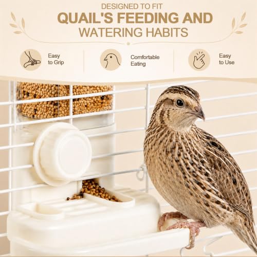 2-in-1 Quail Feeder and Waterer for Cage, Gravity Auto Waterer and Feeder | No-Waste Bird Feeder, No-Spill Quail Waterer, Hanging or Standing, Dry/Wet Separation, for Chick/Duck/Hamster