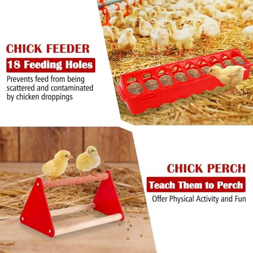 Chicken Feeder and Waterer Set with Chick Perch, Cool Baby Chick Feeder and Waterer Set, Chick Waterer, Baby Chicken Supplies for Small Poultry Chicks Ducks Quail Pigeons Birds(RED)