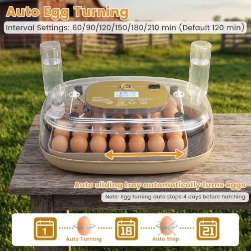 Egg Incubators for Hatching Eggs, for Chicken, Duck & Quail Eggs | | Hold 12-42 Eggs | Temperature & Humidity Control | Automatic Egg Turning | Egg Candler | 2 Water Bottles | Air Vents |
