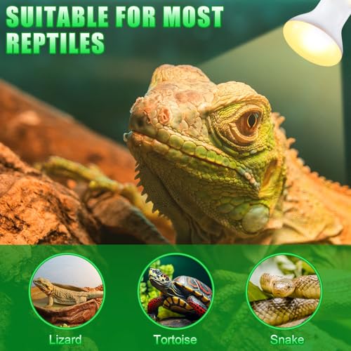 10 Pcs 75w Reptile Heat Lamp Bulb Day and Night Basking Spot Bulb Set UVA Daylight Bulb Amphibian Night Red Infrared Heating Lamp for Turtle Bearded Dragon Lizard Leopard Gecko