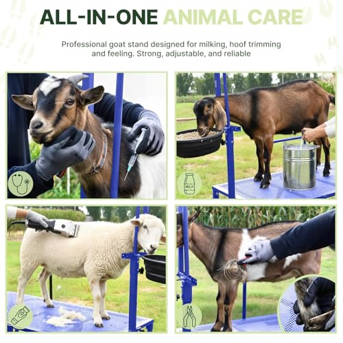 Goat Stand with Adjustable Headpiece & Legs, Goat Milking Stand with Feeder, Rails & Wheels, Stanchion for Grooming & Hoof Trimming, Sheep Stand for Shearing Heavy-Duty Steel Platform, Blue - color: BLUE