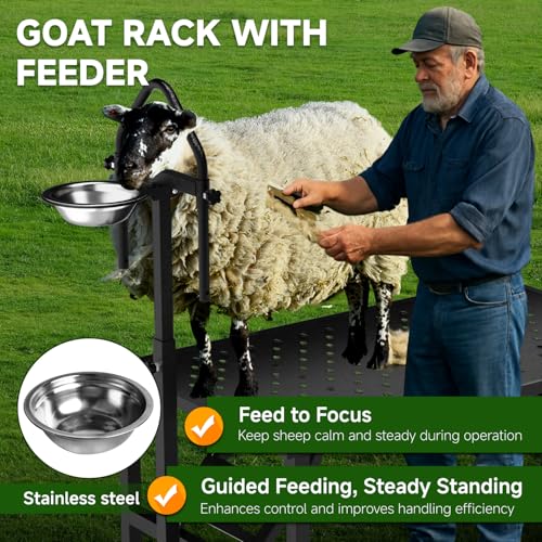 Professional Goat Milking Stand with Ramp, 600LBS Heavy Duty Foldable Livestock Trimming Platform, Metal Grooming Stand with Adjustable Headpiece & Stainless Steel Feeder for Nubian & Dwarf Goats - color: Black with Ramp