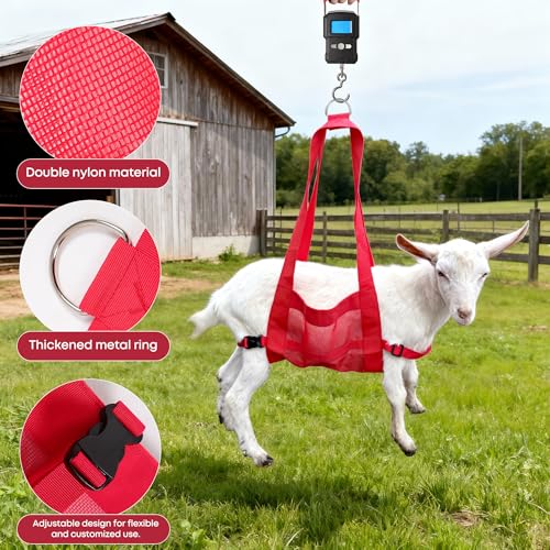 Calf Weighing Sling, Livestock Weight Sling for Lambs, Goats, Sheep & Piglets | Heavy Duty Animal Weight Scale Harness for Farm Use (Red) - color: Red