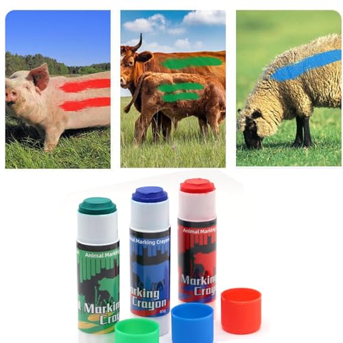 3Pcs Livestock Marker Paint Pen, Animal Identification High Visibility Livestock Marking Paint Pen Livestock Prod, Pig Cow Goat Marking Tools Paint for Marking Animal Skin
