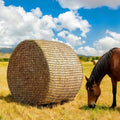 Heavy Duty Slow Feed Hay Net for Horses, 6x6x6 Ft Round Bale Hay Feeder Net | 1.5 Inch Knotless Mesh Weather Resistant Feeding Net to Reduce Hay Waste for Stable, Pasture & Farm Livestock - size: 6x6 Ft