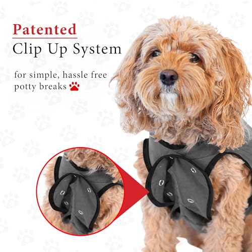 Dog Surgery Recovery Suit, Male Female After Spay Neuter Onesie | Soft Breathable Cotton, Anti-licking Cone Alternative, Protects Stitches & Abdominal Wounds, Patented Clip-up Potty System - color: Grey, size: Mini