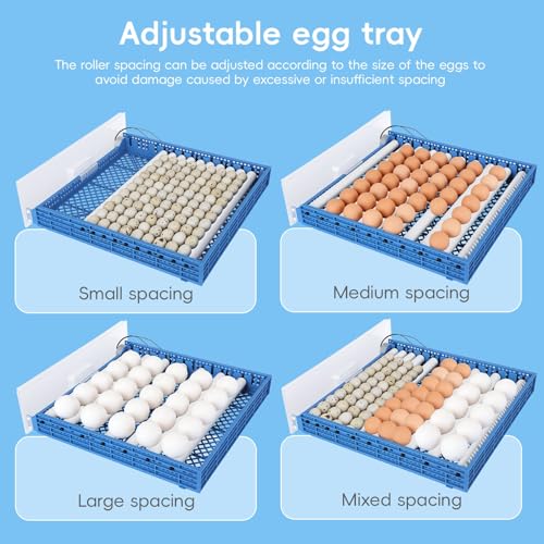 120 Egg Incubators for Hatching Eggs Large Automatic Poultry Hatcher Machine with Automatic Egg Turning Temperature Control Dual Power Supply Smart Digital Incubator for Chicken Duck Goose Quail Blue
