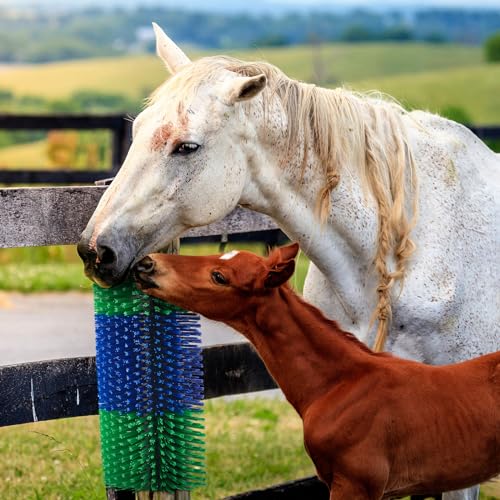 3 Pack Livestock Scratching Brush, Blue and Green | Animal Scratcher, Itch Relief Grooming, Horse Goat Cow Scratcher, Fence Post Mounting, Durable Bristles, Farm Livestock Care - color: Blue and Green
