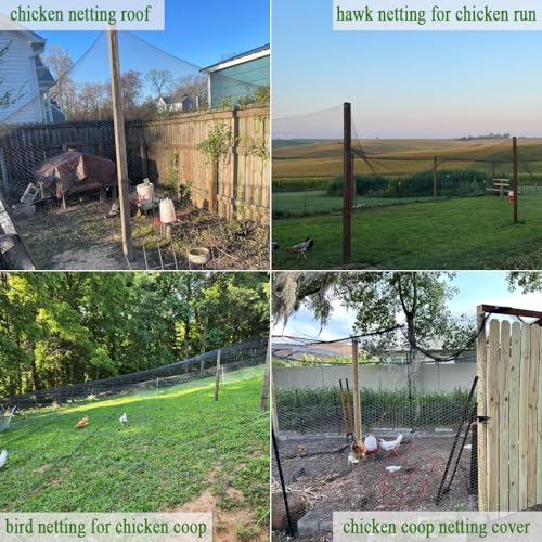 Bird Netting for Chicken Coop 30x30 Ft, 1/2" Mesh Aviary Netting | Aviary Netting - size: 30x30Ft-1/2"