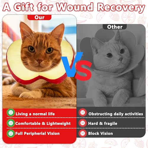 Cat Cone Collar Soft, Adjustable Cat Recovery Cone (Apple, S) | Stop Licking, Cute Kitten Donut Collar After Surgery, Elizabethan Collars for Kittens, Lightweight Cats Neck Cones - color: Apple, size: Small