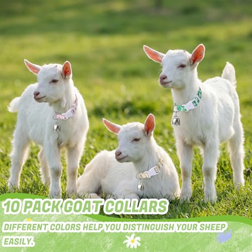 10 Pack Floral Goat Collars Adjustable Grazing Collar with Copper Bells | Anti-Lost Loud Bronze Bell for Farm Animals Sheep Cows Goats Accessories - color: 10 Pack
