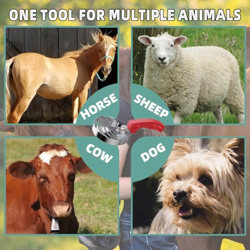 Curry Comb Kit, 6 Ring Curry Comb & Rubber Brush & Horse Grooming Mitts | Curry Comb Kit for Grooming Horses, Dogs, Goats, Cattle, Cow, Donkey Supplies - color: Curry Comb Kit(3 Pcs)
