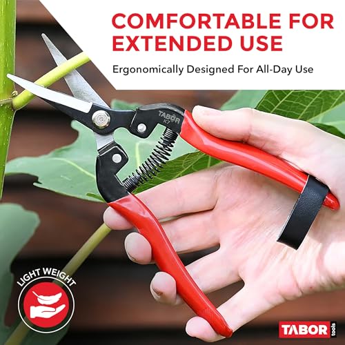 TABOR TOOLS K7A Pruning Snips – 7,5" – Carbon Steel Flower Pruning Scissors for Gardening | Floral Snips and Pruners for Deadheading, Trimming & Harvesting Herbs, Flowers, Fruits or Vegetables - style: K7A Pruning Shears