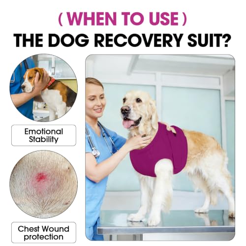 BRKURLEG Dog Chest Recovery Suit After Surgery, Purple S | Dog Chest & shoulder Wound Cover, Breathable & Soft Anti-Licking Wound Vest, Not for Spay/Neuter Surgeries, Cone Alternative - color: Purple, size: Small