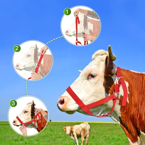 M METERXITY 1-Pack Adjustable Cattle Cow Calf Halter, 13.78"-17.7" Nylon Livestock Cow Halter for Miniature Horse/Donkey/Goat/Cattle [Red] - color: Red