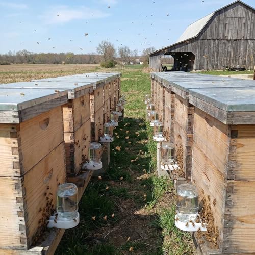 6 Pack Plastic Bee Feeders Entrance Beehive Feeder Honeybee Feeder for Hives Water or Sugar Syrup Feeding Equipment