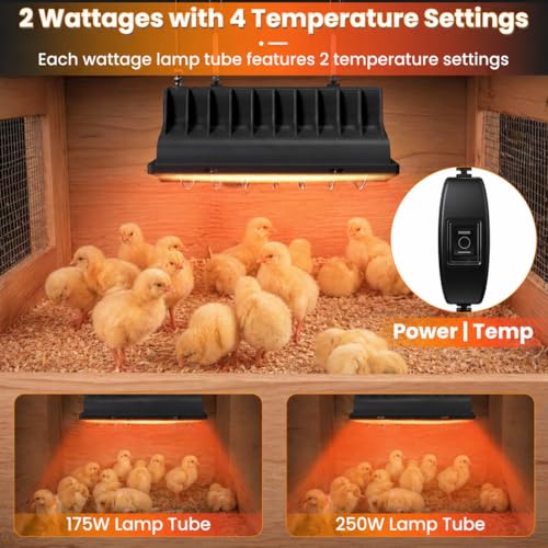 Chicken Brooder Heater for Chicks, Chick Brooder Heat Lamp with 250W & 175W Heating Bulbs, 4 Adjustable Heat Levels for Baby Chicks, Quail, Ducklings & Poultry Brooding