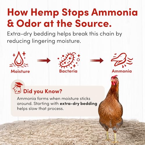 RentACoop Premium Hemp Bedding for Chickens, Rabbits, Horses - 300L (30lbs) | Super Absorbent, Low Dust, Natural Odor Control for Chicken Coops, Nest Boxes, Small Animals, Reptiles & Horses
