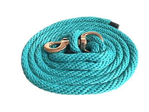 Majestic Ally Pack of 2 Solid Poly Lead Rope for Horses & Livestock – 10 Foot long and 5/8 inch Thick - Replaceable Heavy-Duty Bolt Snap – Handmade – Soft, Broken in Feel (Turquoise) - color: Turquoise