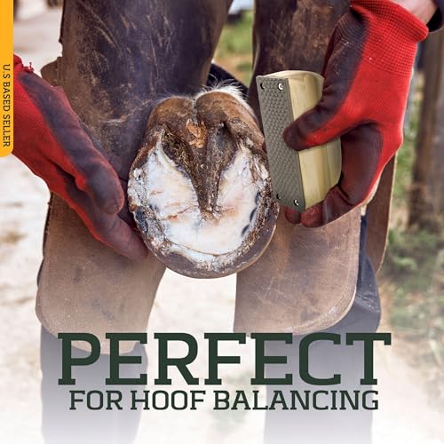 Rural365 Farrier Rasp with Wooden Handle, Mini Hoof Rasp File – Farrier Supplies for Miniature Horse, Pigs, Goats