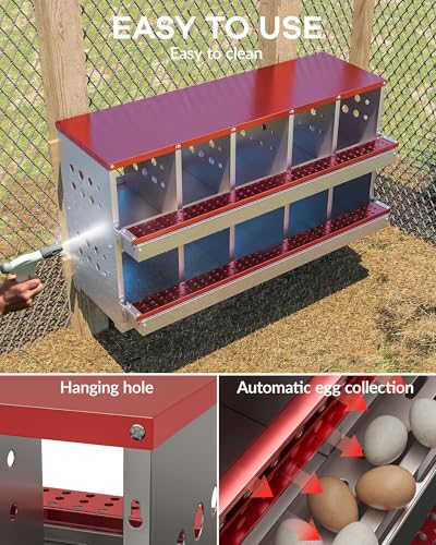 10-Compartment Chicken Nesting Box, Heavy Duty Galvanized Steel Poultry Nest Box, Wall Mount/Freestanding Design for Hens, Ducks, Backyard Homesteads & Farm Use, Red, with 10 Eggs, No Stand - color: Red, size: 10 Room&eggs