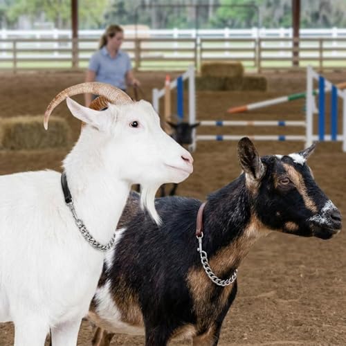 Misdary 2 Pcs Goat Show Collars, Adjustable 14"-24" Iron Chain Halter for Sheep, Horses, Dogs, Cows & Calves, Farm Animal Supplies Accessories Animal Lovers Gift (14'',Black,Brown) - color: Black, Brown