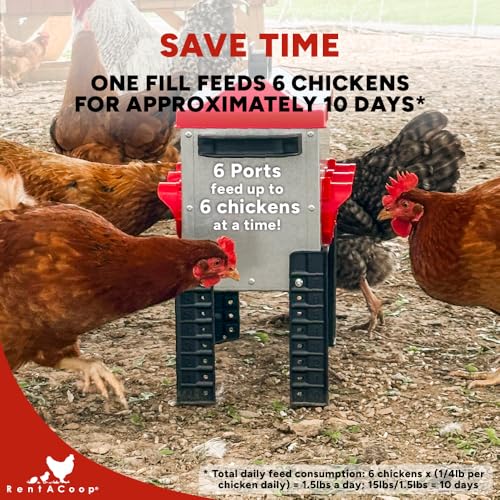 RentACoop 15 lb Metal Poultry Feeder with 6 Ports & Adjustable Legs - size: 15 LB